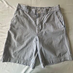 Alex Cannon,Men's Blue and White Striped Casual Shorts
